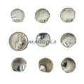 Sew On Glass Jewel Shell 18mm Crystal